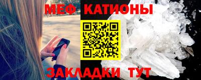прущие грибы Брянск