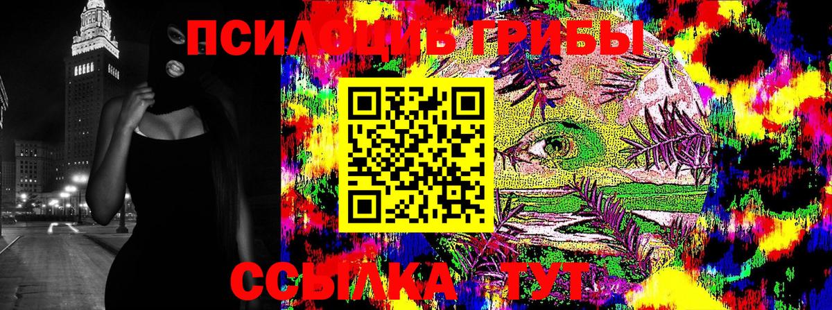 Галлюциногенные грибы GOLDEN TEACHER Усть-Илимск