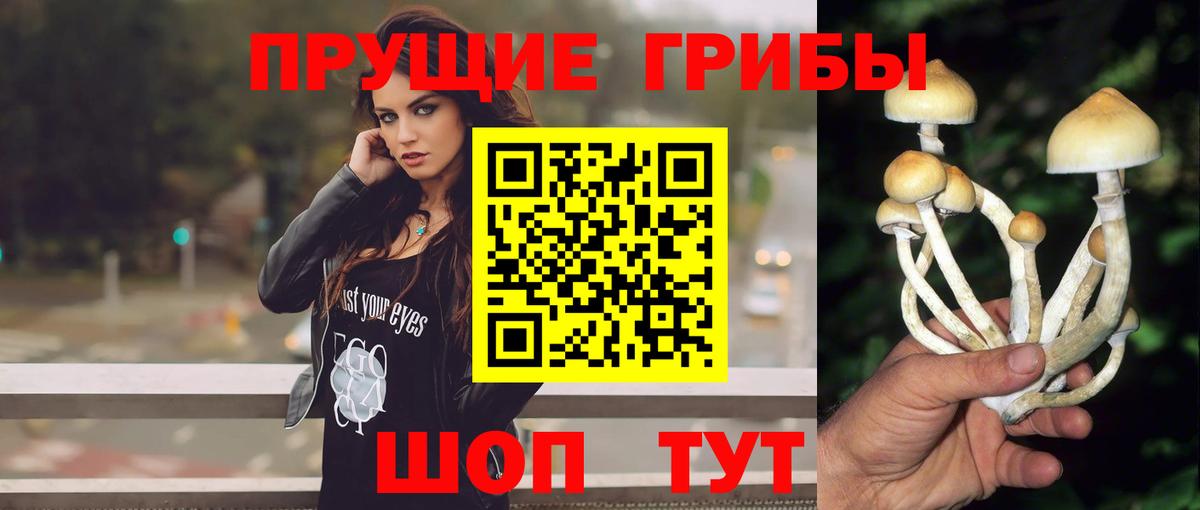 Псилоцибиновые грибы мухоморы  Вход с VPN  Усть-Илимск 